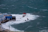 /album/%ce%ad%ce%ba%ce%b8%ce%b5%cf%83%ce%b7-%cf%86%cf%89%cf%84%ce%bf%ce%b3%cf%81%ce%b1%cf%86%ce%b9%cf%8e%ce%bd/milos-1-jpg/